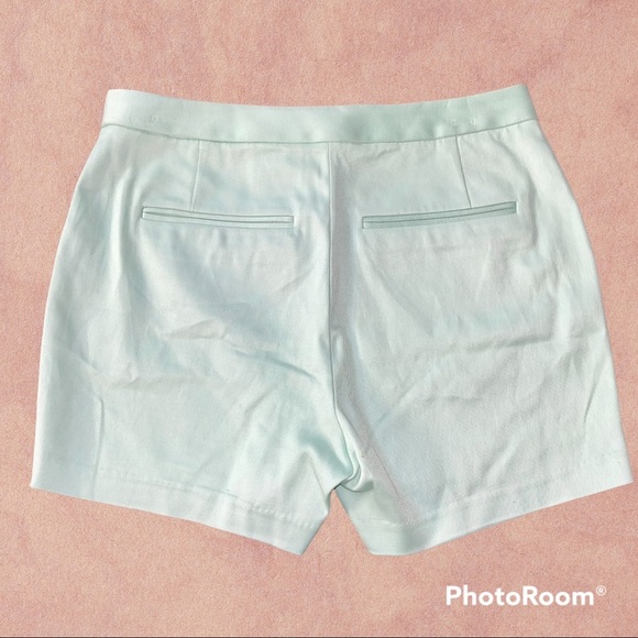 T Alexander Wang Mint shorts size 2 - Picture 3 of 5